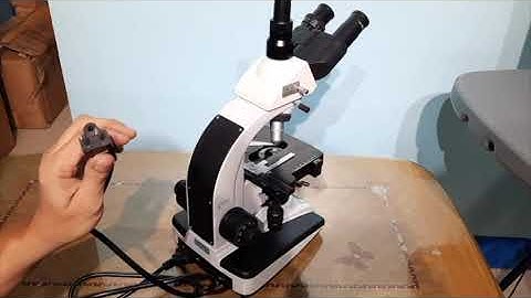 MS16C   Installation TRINOCULAR COMPOUND MICROSCOPE W/ USB DIGITAL CAMERA
