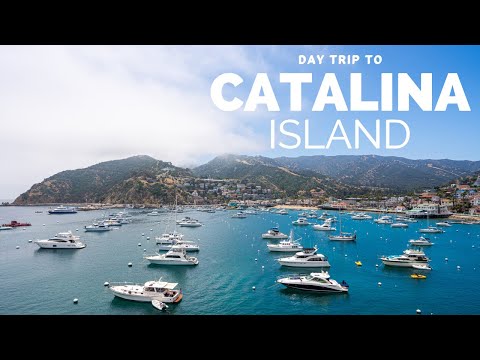 Video: Avalon og Catalina Island, California Fotogalleri