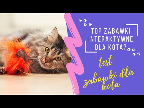 Wideo: To Najlepsze Zabawki Dla Kotów Do Symulacji Polowania Na Zdobycz
