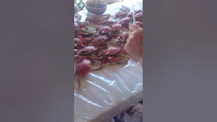 John Polko II playing the crab shells to I Wish by...