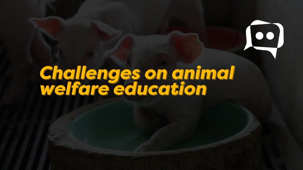 #shorts Challenges on animal welfare education - YouTube