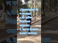 সূরা আল কাওসার