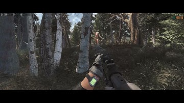 Walk through the forest - Fallout 4 Modded