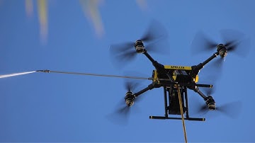 Apellix Launches the World