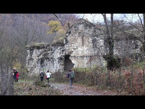 ლექართი და ქურმუხის ოქროს მამალი