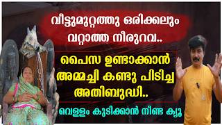 വീട്ടുമുറ്റത്തു ഒരിക്കലും വറ്റാത്ത നീരുറവ | പൈസ ഉണ്ടാക്കാൻ അമ്മച്ചി കണ്ടു പിടിച്ച അതിബുദ്ധി