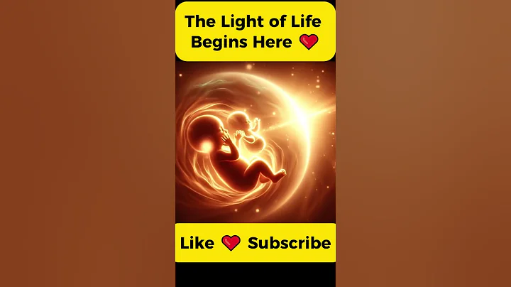 Two Souls, One Miracle 👶👶✨ | Glowing Twin Babies Inside the Womb #Shorts  #miracleinmotion #baby