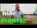 How Many Vegetables to Plant (for Food)