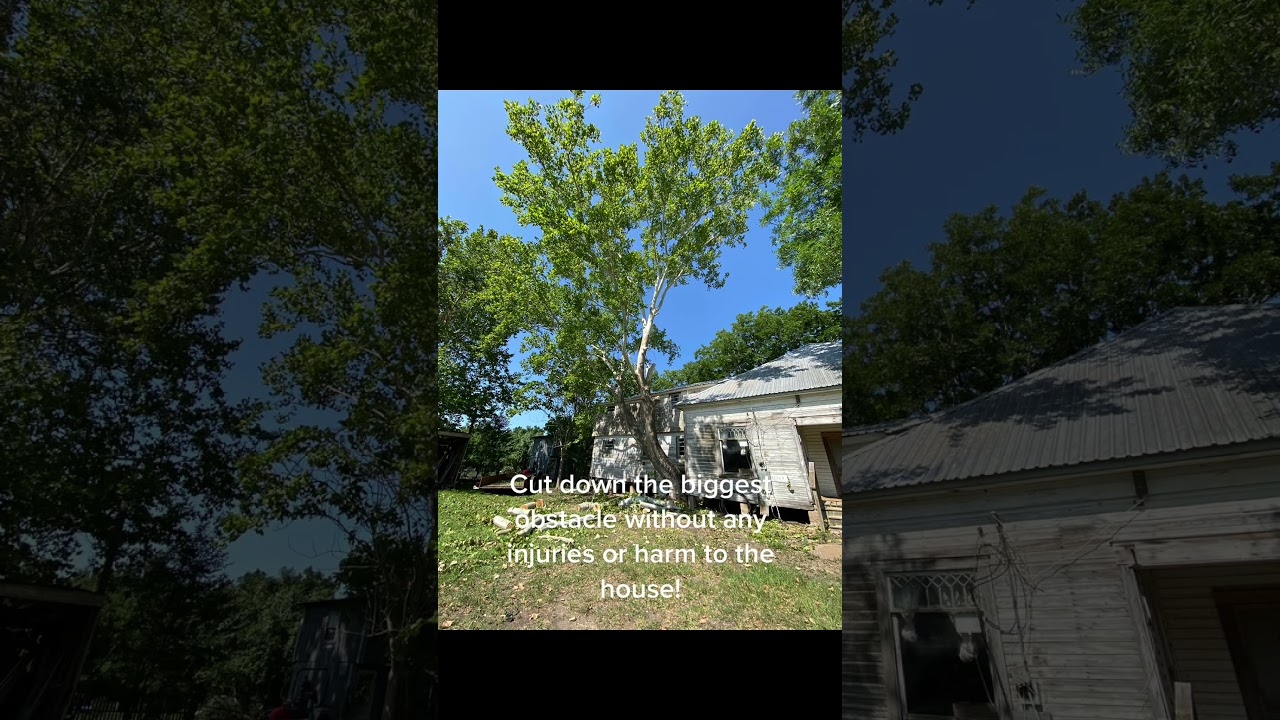 Beginning of our 1907 house renovation!