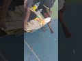 Live highlight