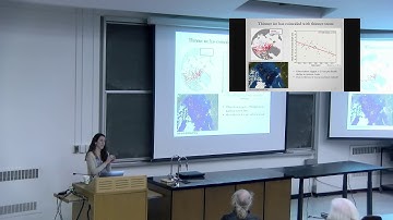 Will snow help or hurt sea ice in a warming climate?