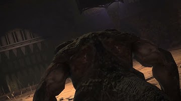 Final Fantasy XIV  A Realm Reborn: Boss Fight: Tangata