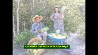 FOMOS PEGAR MELANCIAS NA ROÇA DE MÃE