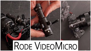 Rode VideoMicro Microphone - Long Term Review by Shane Bethlehem 293 views 2 years ago 12 minutes, 48 seconds
