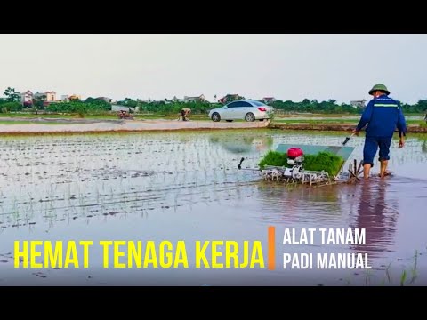 JUAL ALAT TANAM PADI MANUAL DI JAMIN HEMAT ONGKOS TENAGA TANAM