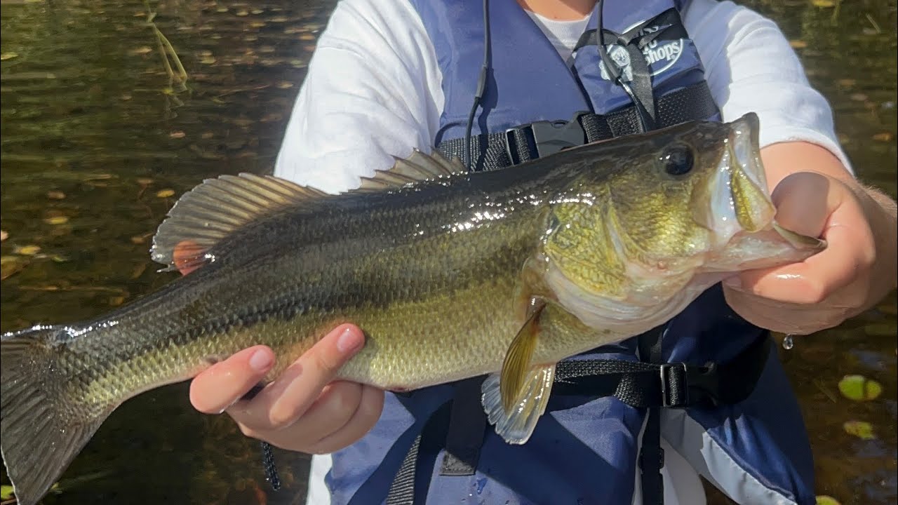 3K SPECIAL!!! Funny moments + GIANT BASS!