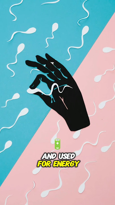 What Happens to Sperm When It Is Swallowed? #shorts