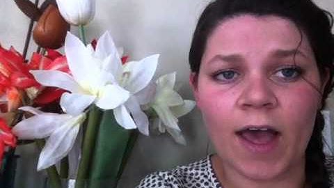 Family Support Worker