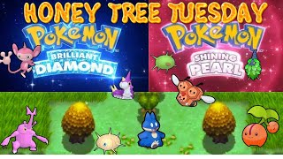Honey Tree Tuesday ft Combee (Portrait)
