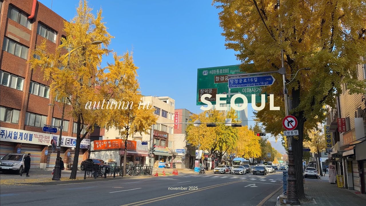 autumn in seoul | nov 2025 ♥︎ 