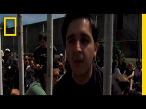 U2 3D Fans | National Geographic