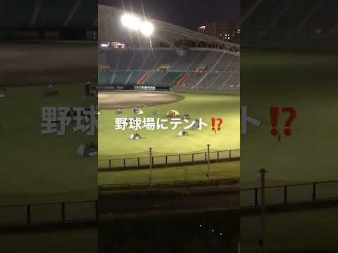 野球場にテント⁉️新たなキャンプ⁉️ #shorts