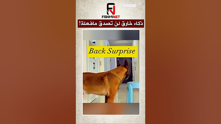 ذكاء خارق لن تصدق مافعلة هذا الكلب! #youtubeshorts