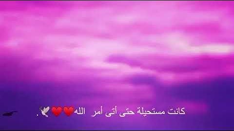 لا تدري لعل الله يحدث بعد ذلك امرا تلاوة القارئ رعد الكردي