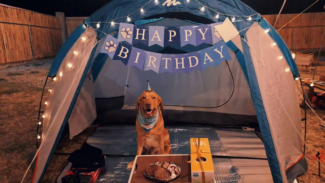 Our Dog's 3rd Birthday Camping Celebration | Camp Matteo | Exclusive Camping | Road Trip Travel Vlog