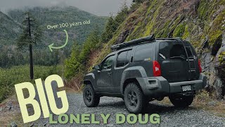 Drive to Canada's 2nd Largest Douglas Fir Tree | Big Lonely Doug | Port Renfrew BC