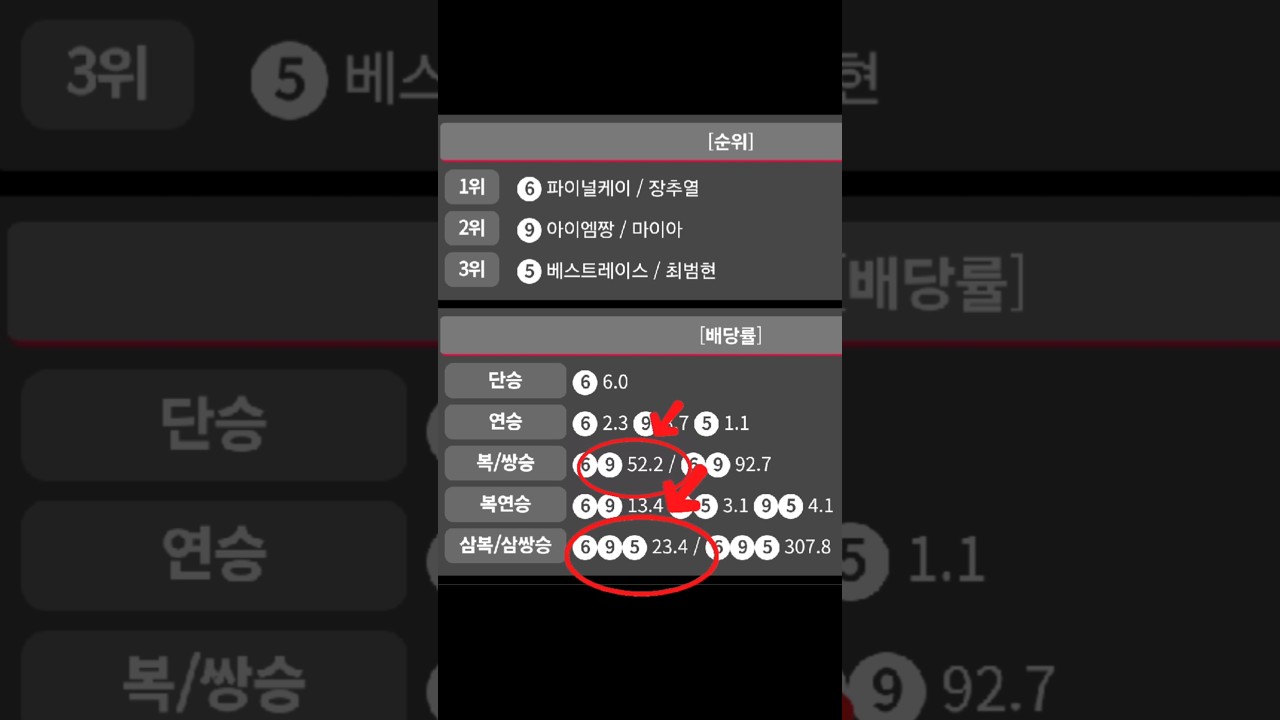 비인기마 9번 아이엠짱 유튜브 라이브 방송에서 순위권으로 분석한 이유?