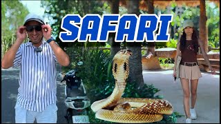 ВЬЕТНАМДА VINPEARL SAFARI ПАРКИГА БОРДИК! ХАЙВОНОТ ОЛАМИ