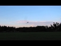 Align 450 Pro Flight 3