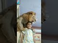 lion