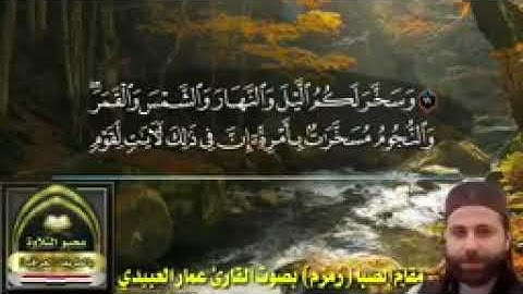 مقام الصبا (زمزم) المعروف بالطور النجفي بصوت القارئ عمار العبيدي ماتيسر من سورة النحل