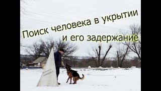 Поиск человека в укрытии и его задержание. "Школа Гайдука". Поиск человека в укрытии и его задержание. "Школа Гайдука".