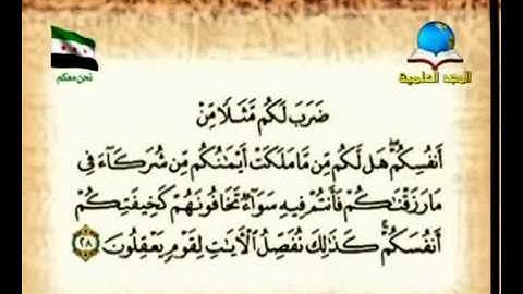حكـــــم و أمثــــــــال _  سورة الروم الاية 28