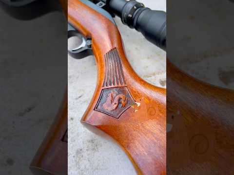 Childhood Squirrel Rifle (Marlin .22) 🐿️