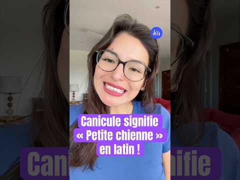 Canicule signifie « Petite chienne » en latin, avec @selenedepoche | Lumni