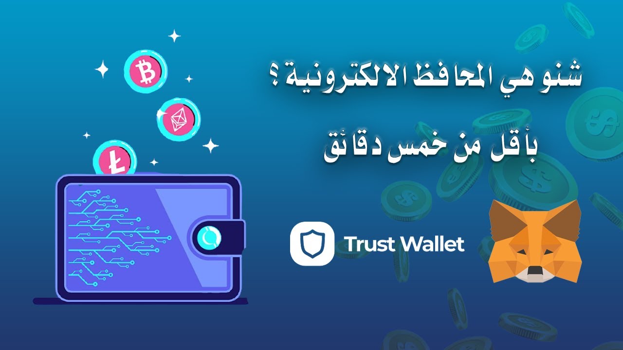 ما هي محافظ الكربتو - باقل من خمس دقائق ( شرح انميشن )