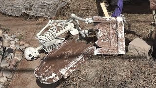 Springfield residents heartbroken by Halloween decoration vandalism