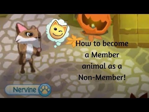 Come diventare un animale membro come un non-membro! | Jam Animal