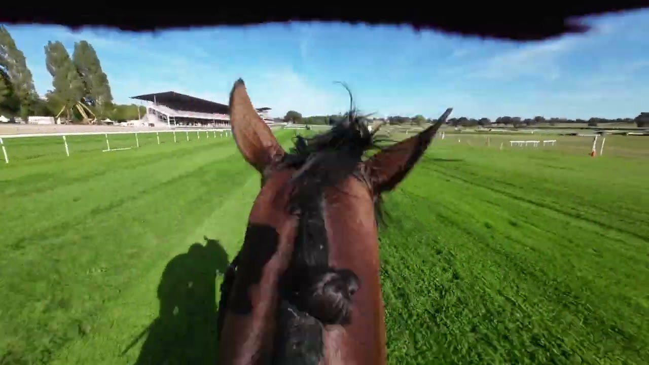 Remportez le Grand Cross de Craon 2023 en selle sur Bomari