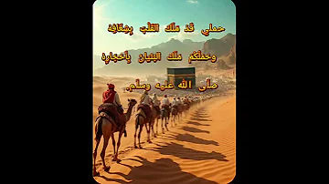 بطن أمينة حمل من ملك القلوب وأم ا من حمل الملوك فقد ملكوا الأحجار والفرق بي ن صل ى الله عليه وسل م 