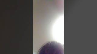 The stupid