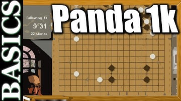 Tried a 1KYU Pandanet Game - Back to Basics Baduk