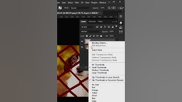 Remove dog Fence ||#shorts #youtubeshorts #photoshoptutorial