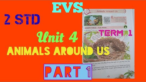 2 Std,  EVS  / Term  1 / Unit 4 : Animals Around Us ( Part 1)