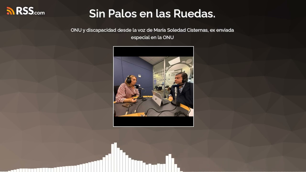 ONU y discapacidad desde la voz de María Soledad Cisternas, ex enviada especial en la ONU