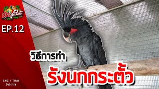 EP12.วิธีการทำรังของนกกระตั้ว (How to build nest for Cockatoo)